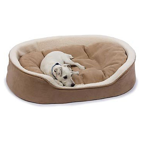 펫코 강아지 침대 Petco Oval Tan and Cream Lounger Dog Bed