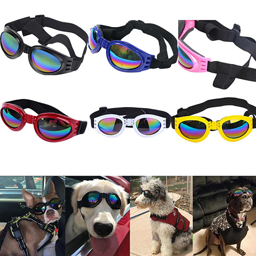 QUMY Dog 애견 고글 강아지 선글라스 접이식 안경